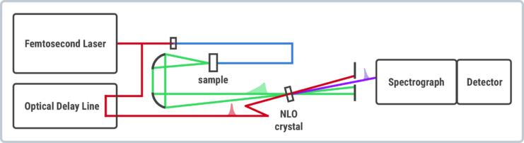 Fluorescence Upconversion